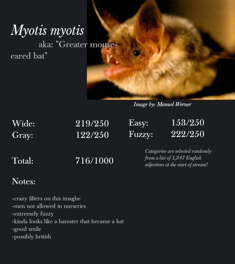 Myotis myotis